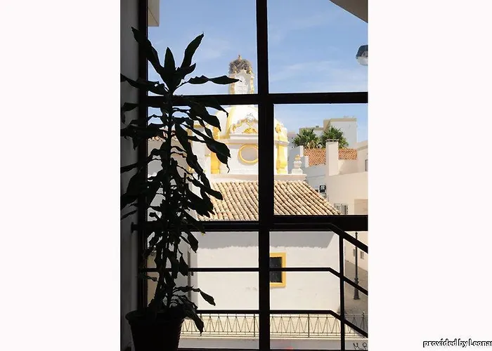 Western Dom Bernardo